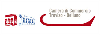 Camera di Commercio Treviso - Belluno
